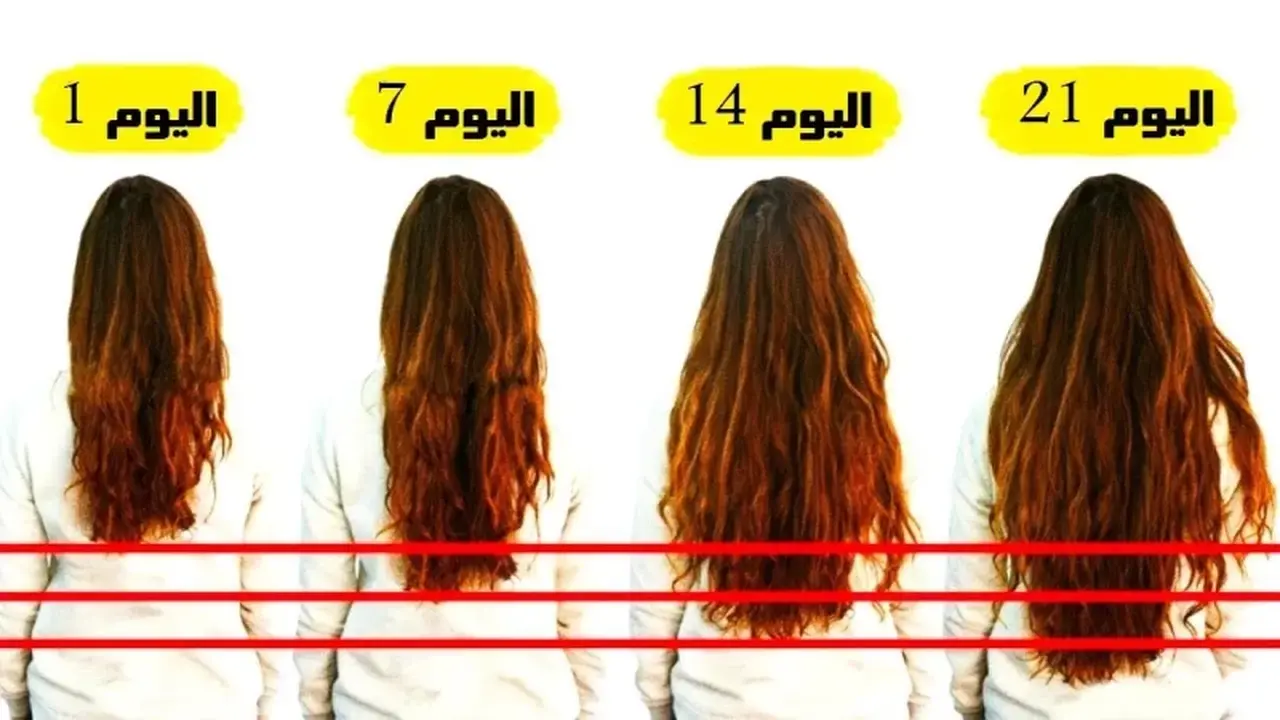 تطويل صاروخي.. اسرع 7 زيوت سحرية لتطويل وتغزير الشعر بسرعه فائقه شعرك هيبقي للركب